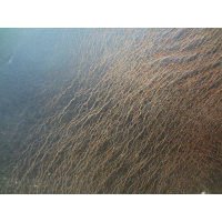 Ceintures homme artisanales en cuir chocolat tannage végétal de 3 cm